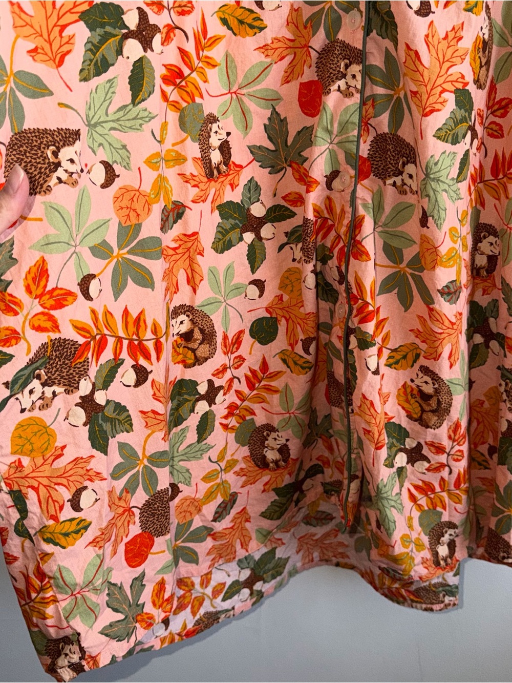 Print Fresh Plus 5X Hedgehog Forest Sleep Shirt Long Sleeve Cotton Floral - Picture 3 of 7